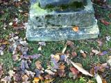 image of grave number 306077